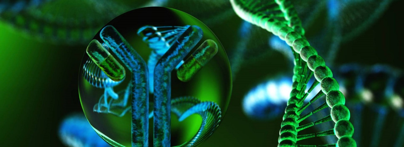 antibody and DNA helix