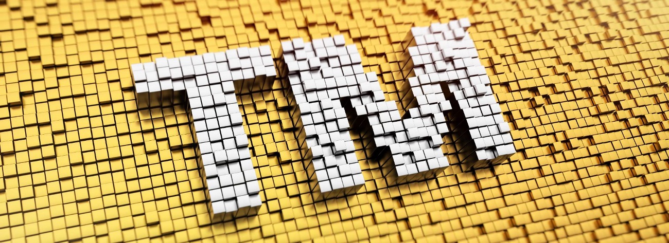 Canadian trademark law 2025: a year in review