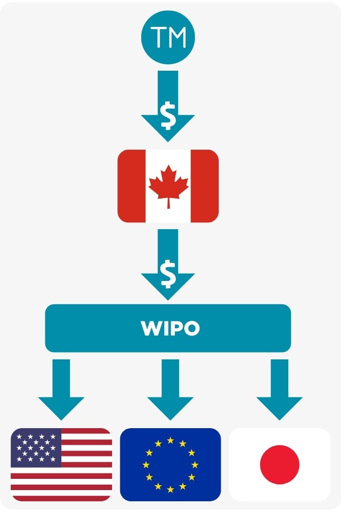 Image: A diagram showing Trademark dollars going to Canada and then to WIPO and then to individual countries
