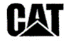 CAT & Triangle Design logo